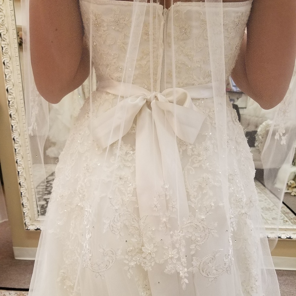 Jasmine Bridal Wedding Gown - Picture 2 of 3